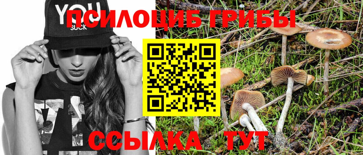 Галлюциногенные грибы Psilocybine cubensis  сколько стоит  Красноармейск  Псилоцибиновые грибы ЛСД  Вход с VPN 